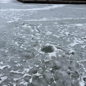 Frozen