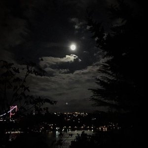 West Coast - (LDR) (Muffled & Slowed)