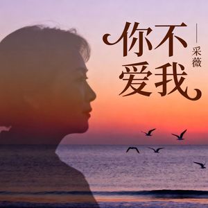你不爱我(伴奏)