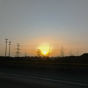 草地阳光中的沉醉