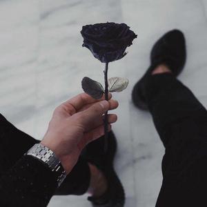 Adanalik(吉他版）