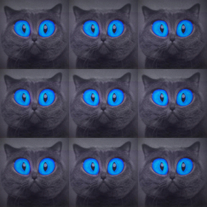 Хочу быть котом