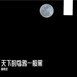 天下的乌鸦一般黑