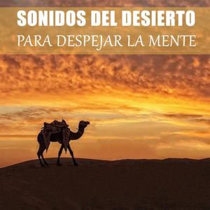 Sonidos Del Desierto Para Despejar La Mente