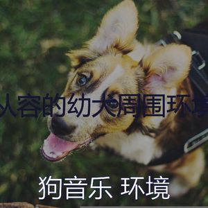 微妙的幼犬心情