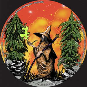 Historia Vitae Magistra