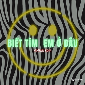 Biết Tìm em Ở Đâu (Remix)