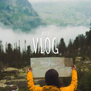 Vlog