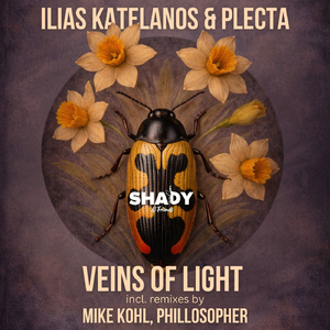Veins of Light (Phillosopher Remix)