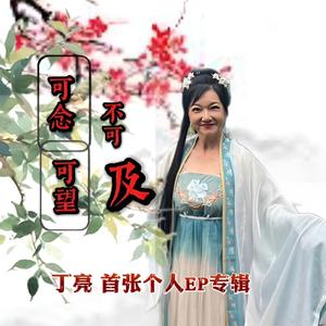 可念可望不可及