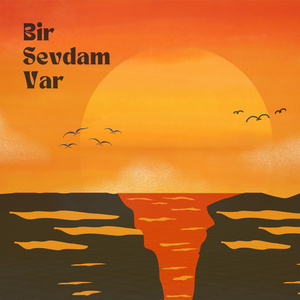 Bir Sevdam Var