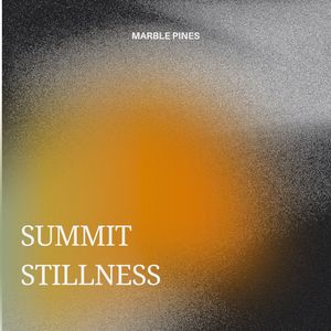 Through the Needleleaf Canopy