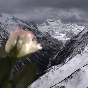 错过
