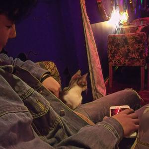 论一个备胎的自我修养