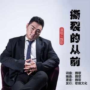撕裂的从前