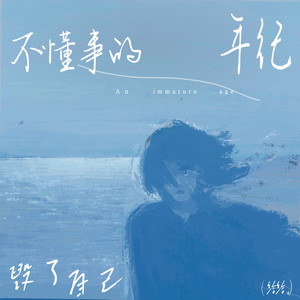 不懂事的年纪毁了自己