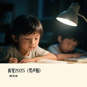 再见2025 (男声版)