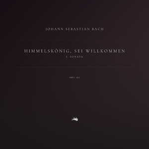 Himmelskönig, sei willkommen, BWV 182: 1. Sonata