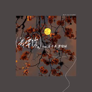 我要你（Feat. hzy）