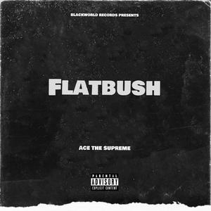 Flatbush (feat. Siege & Plasthic Slash)