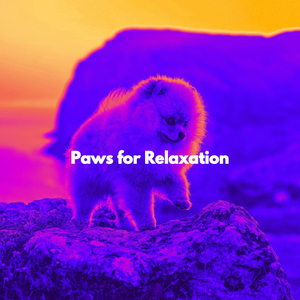 Relaxed Music for Fun Storms