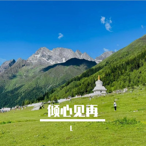 骨傲林梅