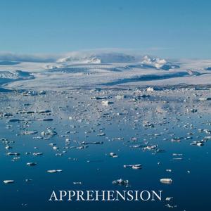 APPREHENSION