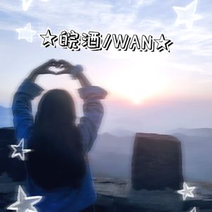 ★皖酒/WAN★