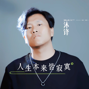 人生本来皆寂寞-沐锋