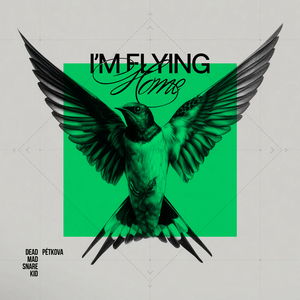 I'm flying home