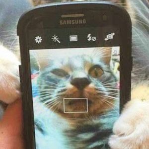 我就是个无赖（prod.sheck）