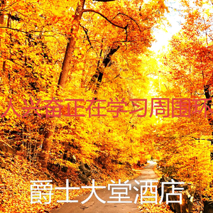 优美加工器乐
