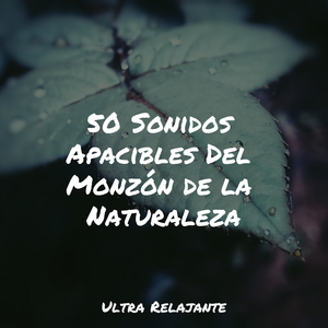 Tranquilidad Burbujeante