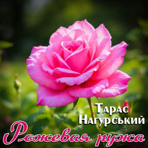 Рожевая ружа