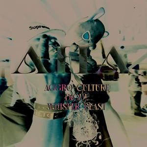 Aggro Culture
