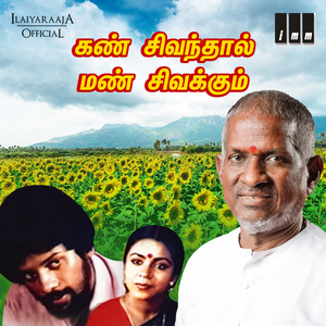 Naandhaan Enbavan Naane