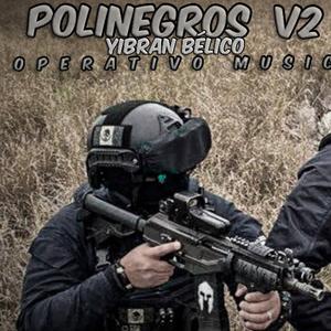 Polinegros V2