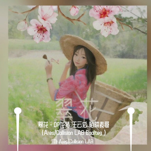 翠花（Dj Ares / Collision Lab remix）