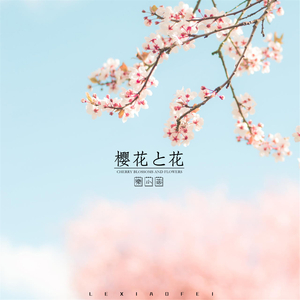 樱花与花