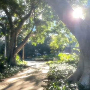 午后-整曲 伴奏