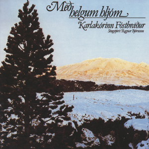 Í Betlehem er barn oss fætt