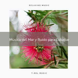 Sonidos Perfectos del Bosque y Ruido de Colores para Suenos