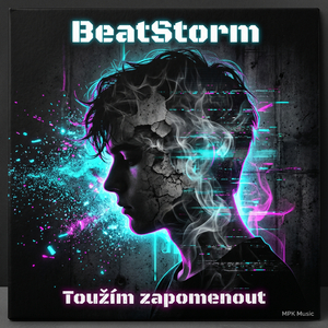 Toužím zapomenout (Czech cover)