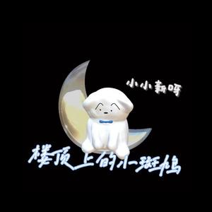 楼顶上的小斑鸠（Song climax edition）