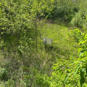 Planetary Demonetization