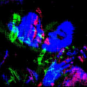 Poison Berry (feat. 48Glo)