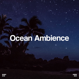 大海之声深睡眠