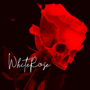 White Rose