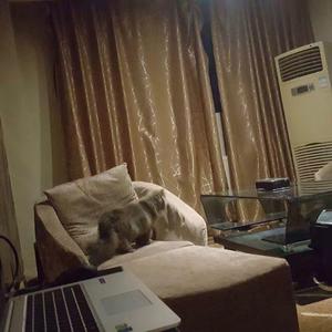 不找了（吉他版）