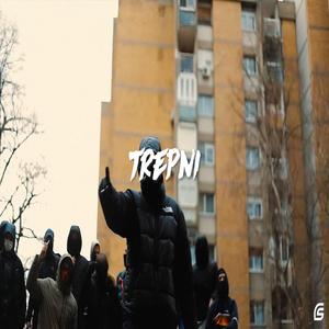 Trepni